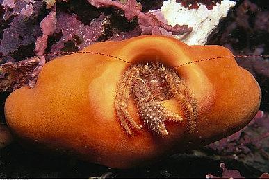 《漫威复联》DLSS与FSR对比截图 谁的技术更强？